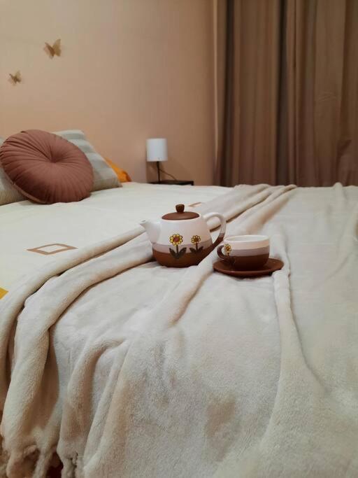Bem Acogedora Y Muy Centrica Appartement Zamora Buitenkant foto